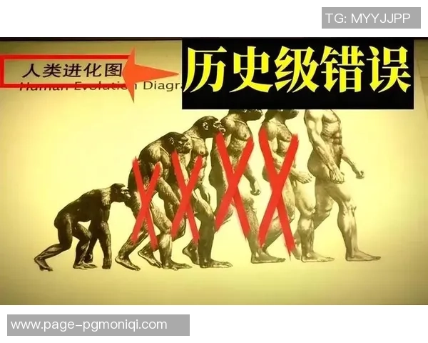 巴西猿人与松恩视频的精彩对决揭示人类进化的奥秘与争议